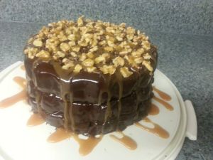 Turtle Cake (2)